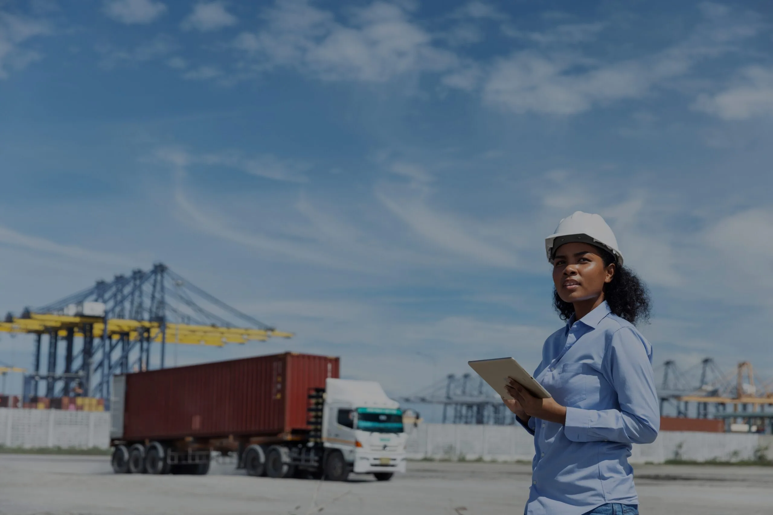 Logistica